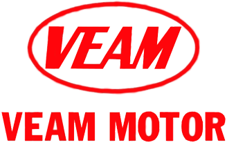 Logo Veam